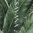 Savana